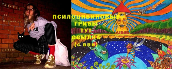 прущий лед Алексин