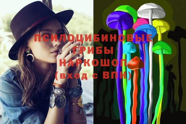PSILOCYBIN Алзамай