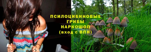 таблы Алексеевка
