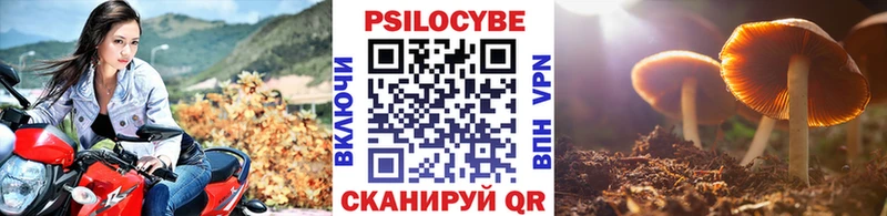 Галлюциногенные грибы Psilocybine cubensis  Курлово 